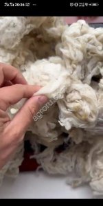 Шерсть мериноса 64К 2С