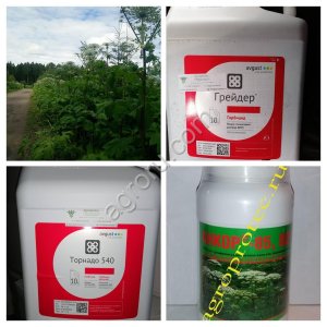Средства борьбы с борщевиком