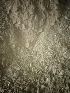 Шрот рапсовый