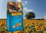 Семена гибридов подсолнечника BAYER (Байер)