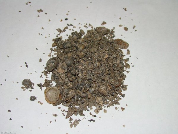 АгроХолдинг «Кубань» заканчивает пуско-наладочные работы и готовится к пуску Комбикормового завода