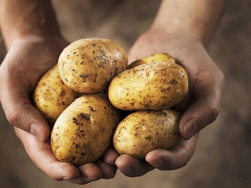 Картошка как неродная, - Краткий обзор рынка овощей