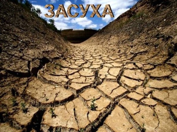 В настоящее время в 10 регионах объявлен режим чрезвычайной ситуации