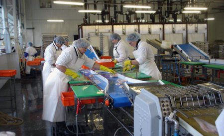 Рыбопереработчики Приморья  повышают планку