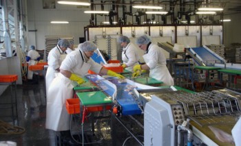 Рыбопереработчики Приморья  повышают планку