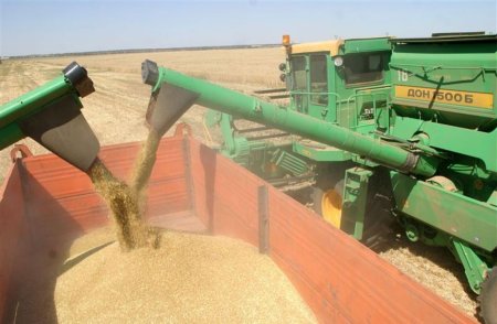 В Кызылординской области в 2010 году собрано 328,3 тысячи тонн зерна