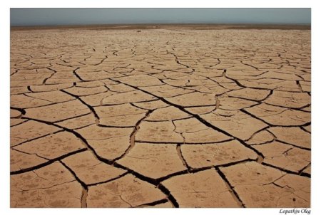 Платить за лишние гектары