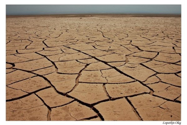 Платить за лишние гектары