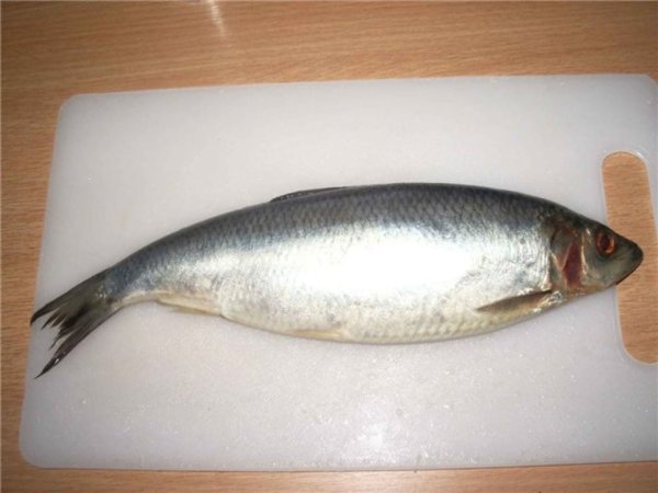 Рыбные цены Минска