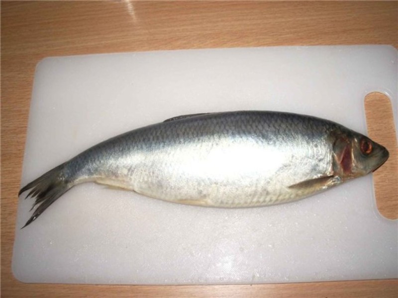 Рыбные цены Минска