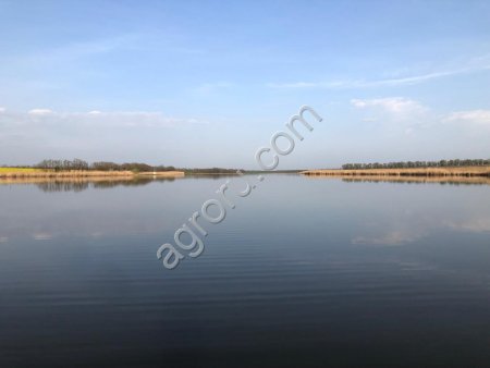Прудовое хозяйство 37 Га