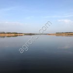 Прудовое хозяйство 37 Га