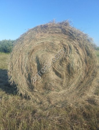 Сено в тюках