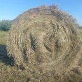 Сено в тюках