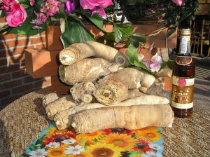 СЕмена хрена (Катран Аккорд)