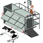 БОКС ДЛЯ ОГЛУШЕНИЯ СКОТА / ПОВОРОТНЫЙ /