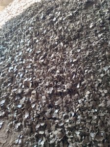 Жмых подсолнечный от производителя