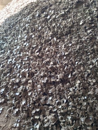 Жмых подсолнечный от производителя