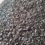 Жмых подсолнечный от производителя