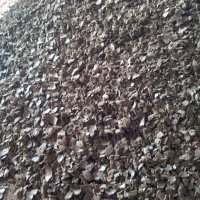 Жмых подсолнечный от производителя