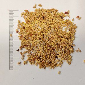 Косточки шиповника