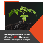 ЕМКОСТЬ РЫНКА СЕМЯН ТОМАТОВ В РОССИИ - 2024. ПОТЕНЦИАЛ СПРОСА И ЗАМЕЩЕНИЯ ИМПОРТА