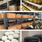 Твердые сыры