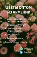 Цветы, декоративные культуры