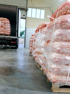 Лук репчатый очищенный