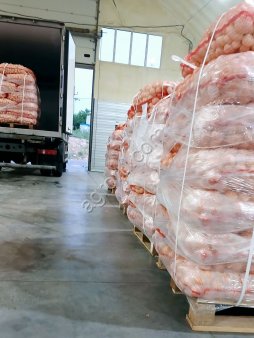 Лук репчатый очищенный