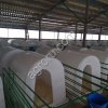 Пластиковые домики для телят и вольеры