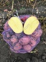 Картофель - АРИЗОНА КОЛОМБО МАНИФЕСТ