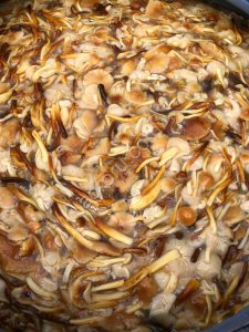 Белые замороженные грибы