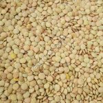 Чечевица зеленая