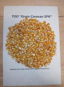 Кукуруза Фуражная