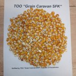 Кукуруза Фуражная