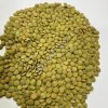 Чечевица зеленая