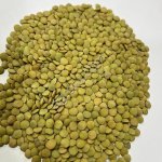 Чечевица зеленая