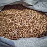 Гречка ядрица