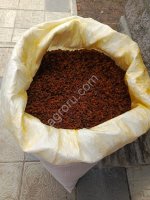 Облепиха сушёная Алтайская садовая