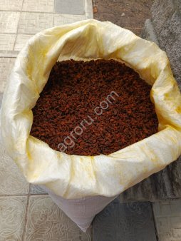 Облепиха сушёная Алтайская садовая