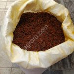 Облепиха сушёная Алтайская садовая