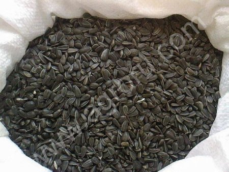 Подсолнечник кондитерский