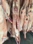 Баранина охлажденная в тушах