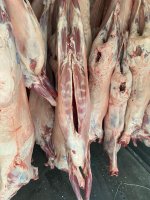 Баранина охлажденная в тушах