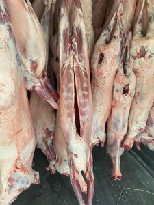 Баранина охлажденная в тушах