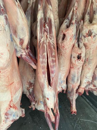 Баранина охлажденная в тушах