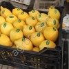 Лимоны Адалия