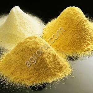 Яичный порошок (Сухой яичный меланж)