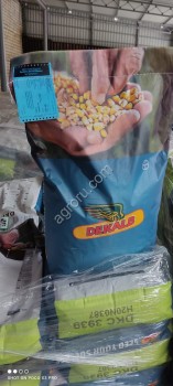 Семена кукурузы Монсанто